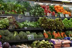  Kinh nghiệm chọn mua giá kệ siêu thị Hòa Phát cho mặt hàng rau quả
