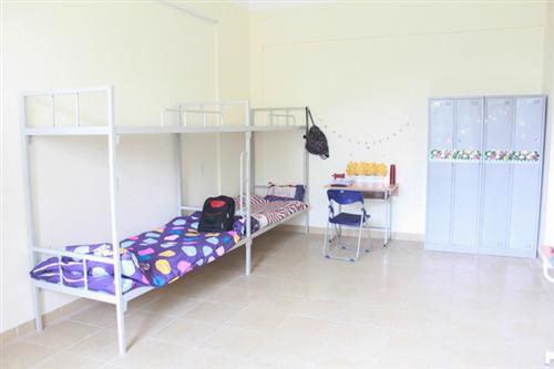  Kinh nghiệm chọn mua giường tầng nội trú Hòa Phát giá rẻ