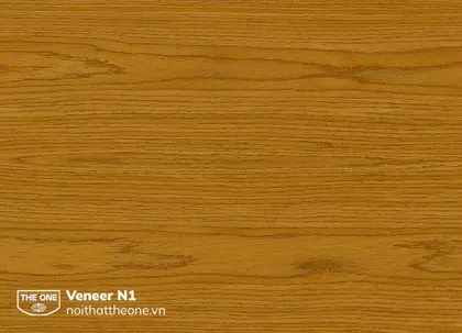 M&atilde; m&agrave;u N1 veneer H&ograve;a Ph&aacute;t